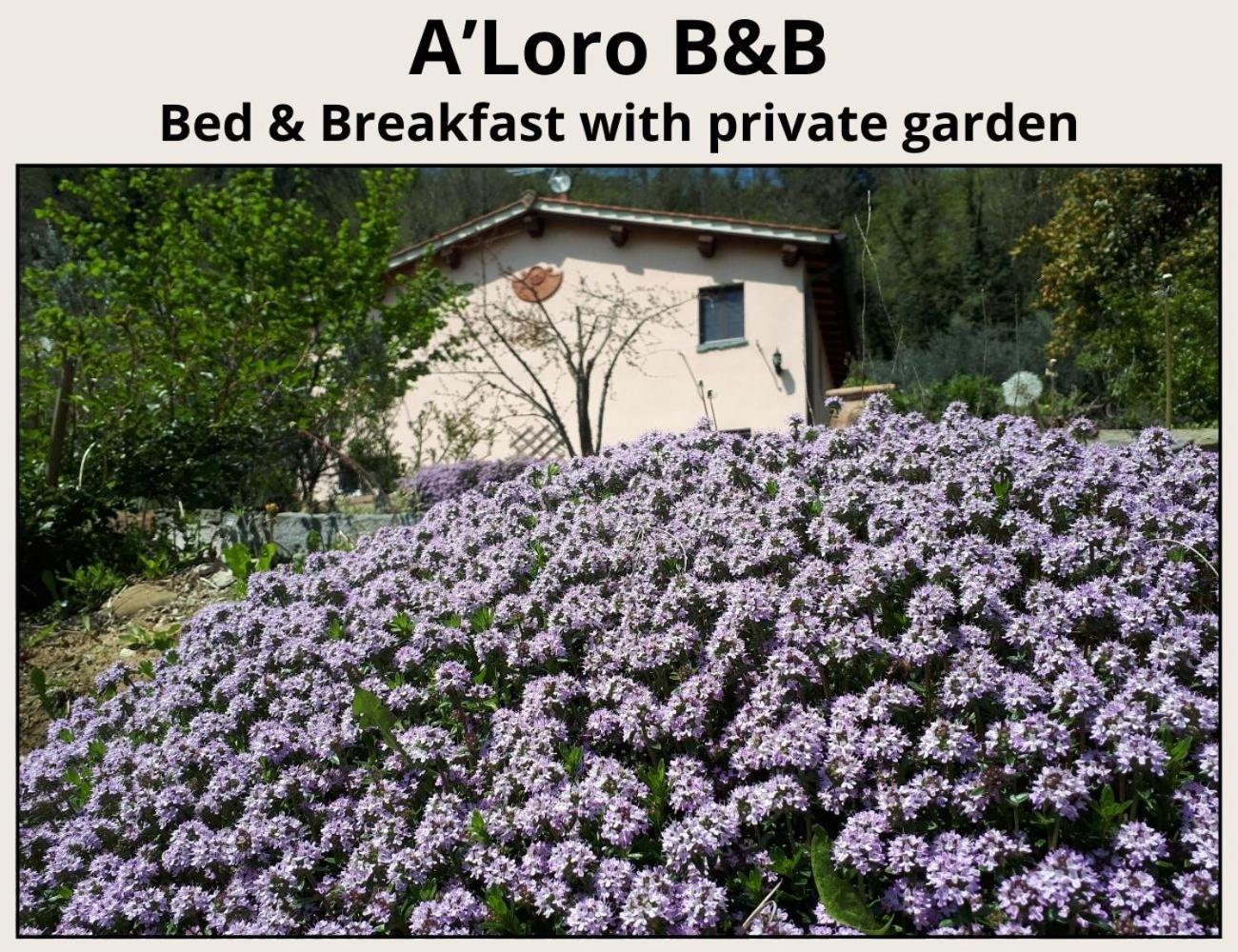 A'Loro B&B Террануова-Браччоліні Екстер'єр фото